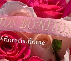 24 rosas rosas con liston