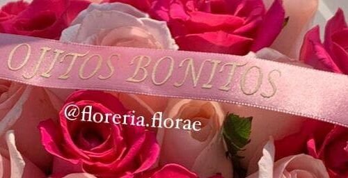 24 rosas rosas con liston