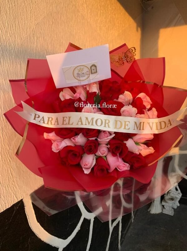 ENCANTO - Imagen 3