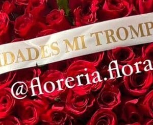 ramo 100 rosas rojas