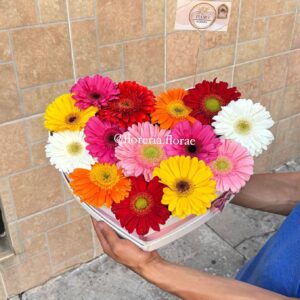 caja corazon con mix de gerberas
