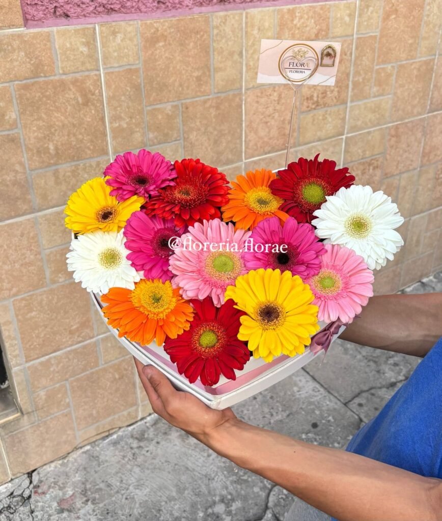 caja corazon con mix de gerberas