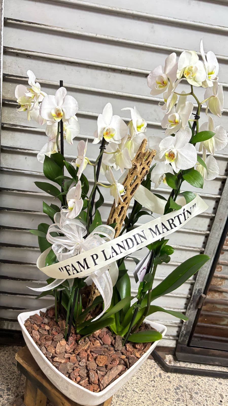 CONDOLENCIAS ORQUIDEAS