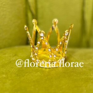 corona mini para rosa