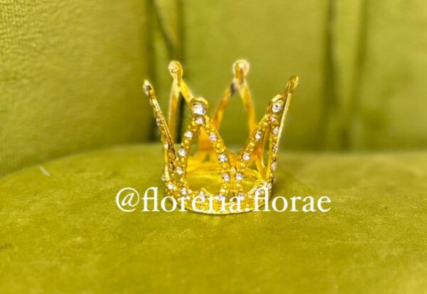 corona mini para rosa