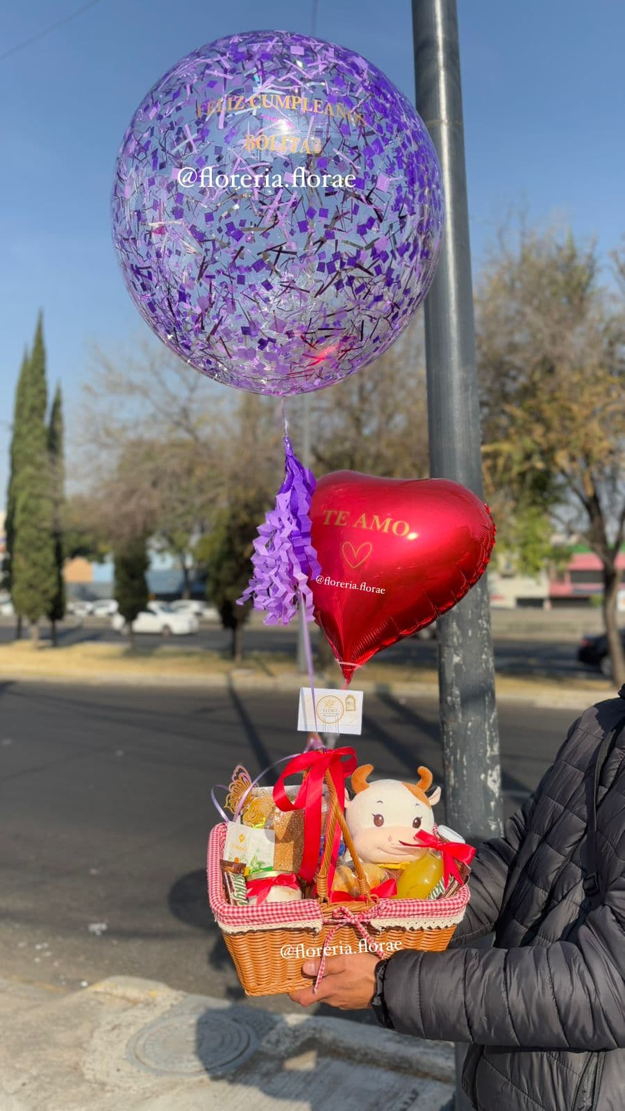 DELICIA MAS PELUCHE GLOBO Y GLOBO HELIO MORADO 1