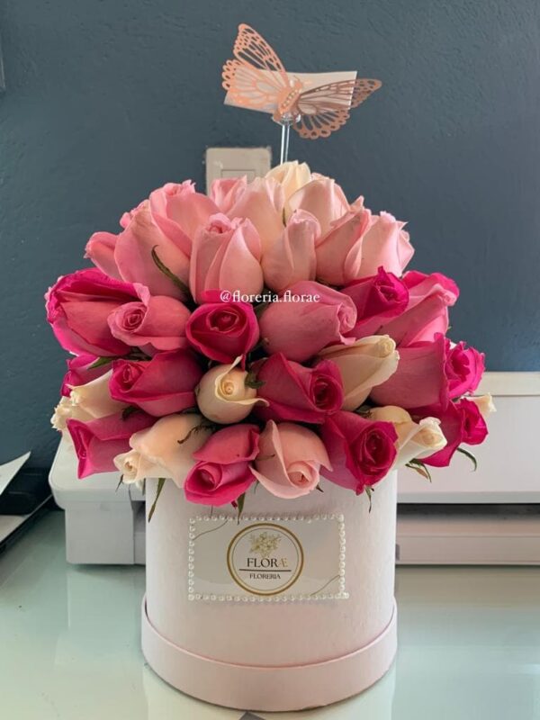 caja con rosas tipo hongo