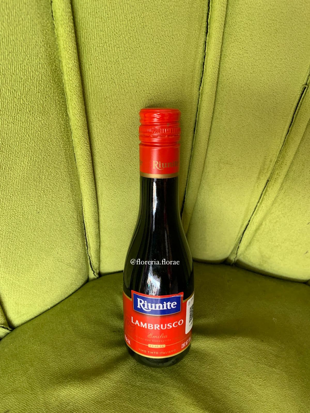 MINI RIUNITE LAMBRUSCO