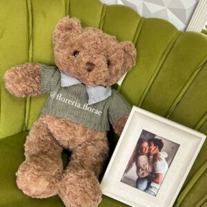 RECUERDO TEDDY