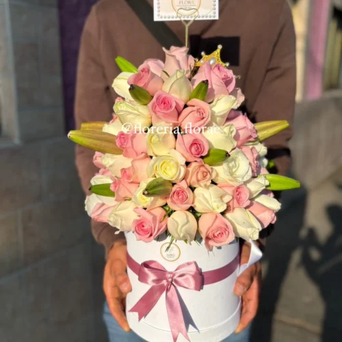 CAJA MUSHROOM EN CDMX