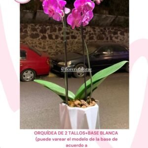 BELLEZA 14 DE FEBRERO