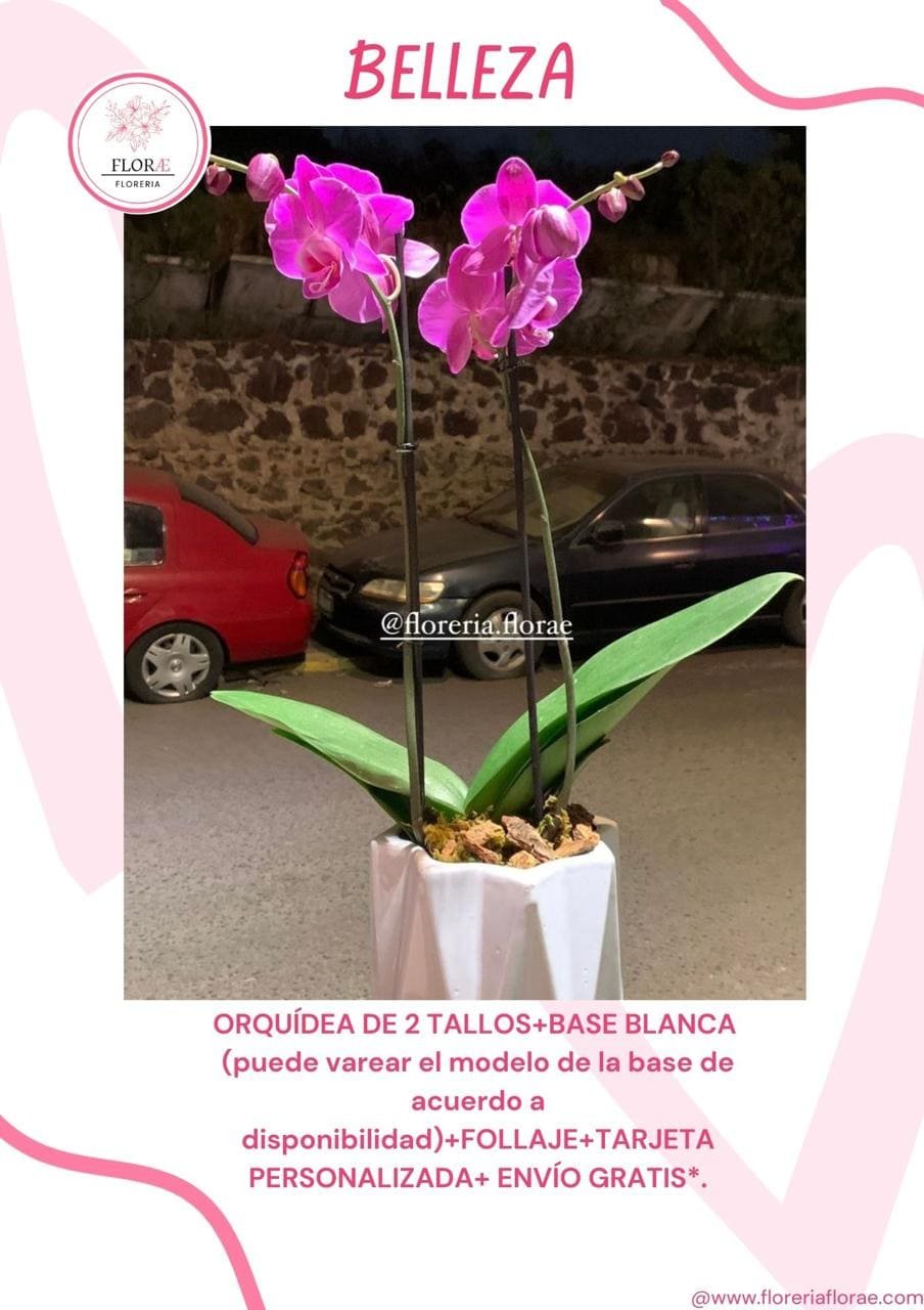 BELLEZA 14 DE FEBRERO